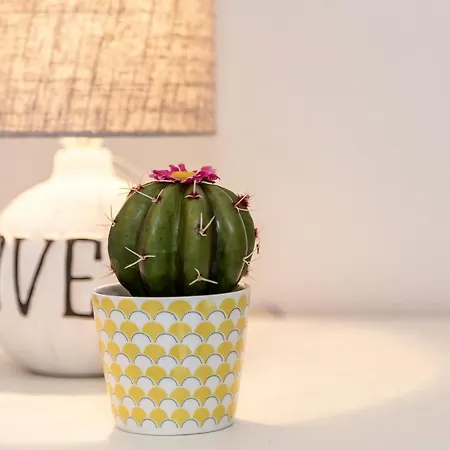 A Su Santu Nigola Baunei